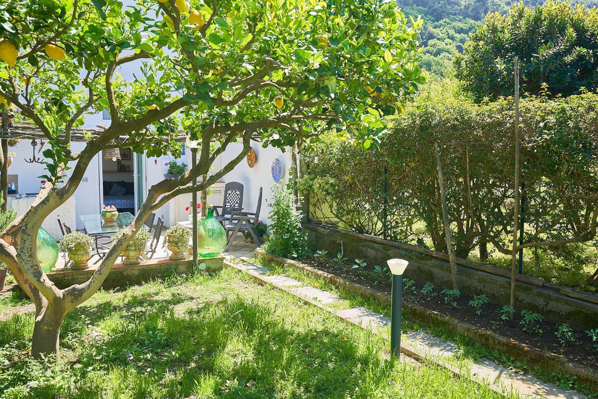 Il Cellaio Anacapri (Isola di Capri) Exterior foto