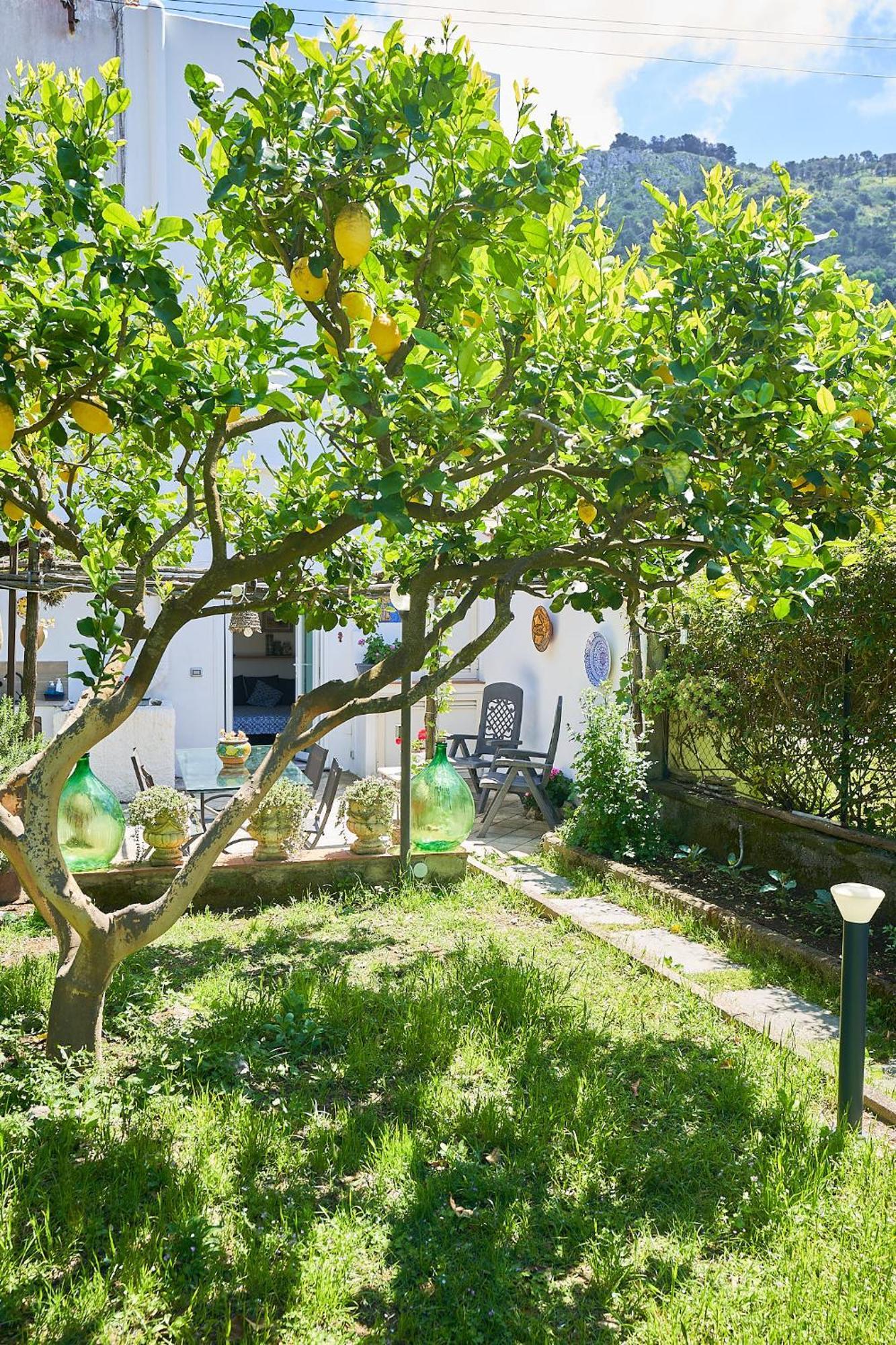 Il Cellaio Anacapri (Isola di Capri) Exterior foto